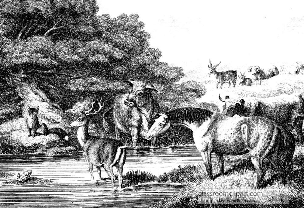 historical-engraving-horse-deer-in-lake-052a.jpg