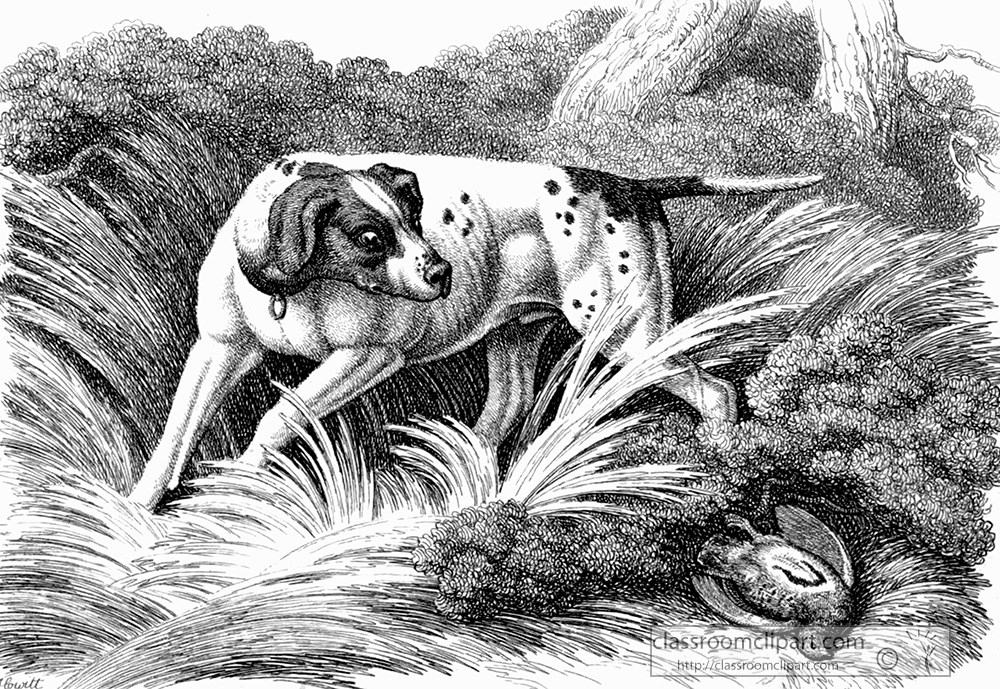 historical-engraving-hunting-dog-244.jpg