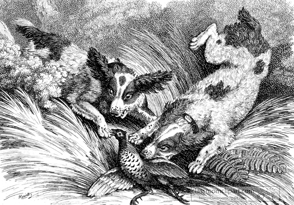 historical-engraving-hunting-dog-with-prey-230a.jpg