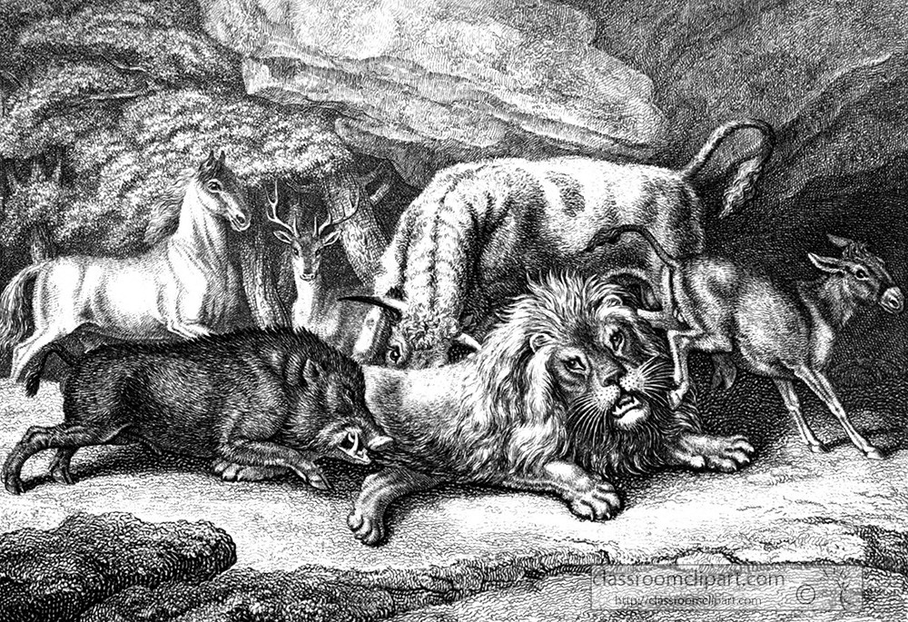 historical-engraving-lion-042.jpg