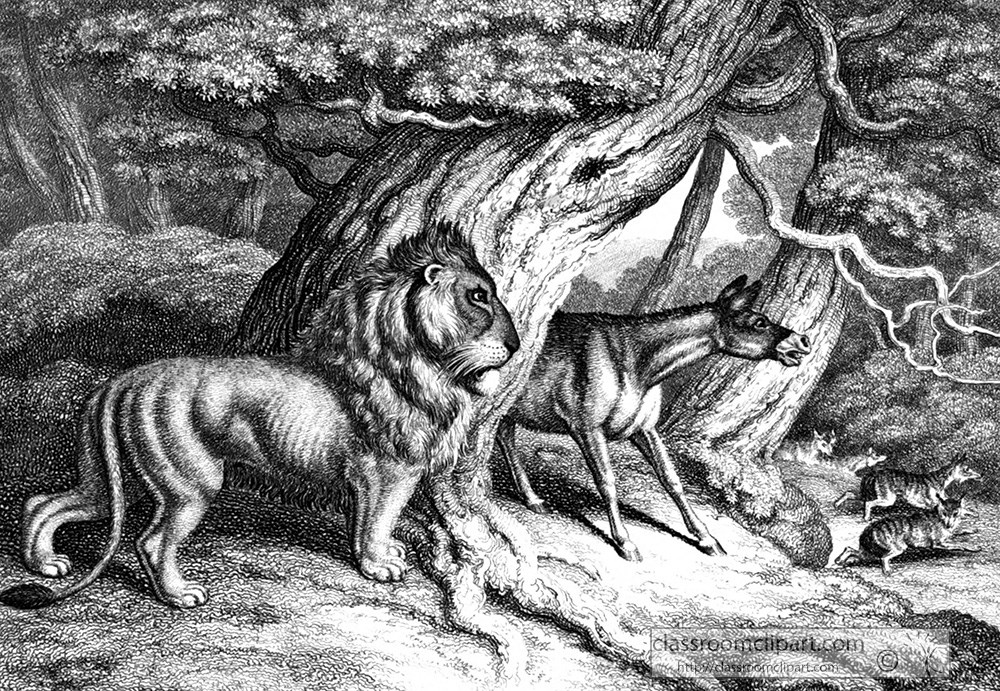 historical-engraving-lion-105a.jpg