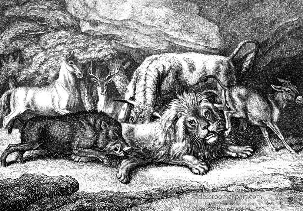 historical-engraving-lion-boar-042a.jpg