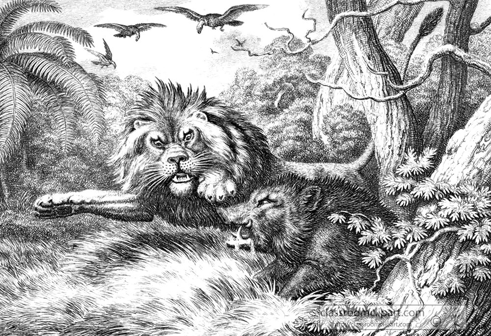 historical-engraving-lion-wild-boar-032.jpg
