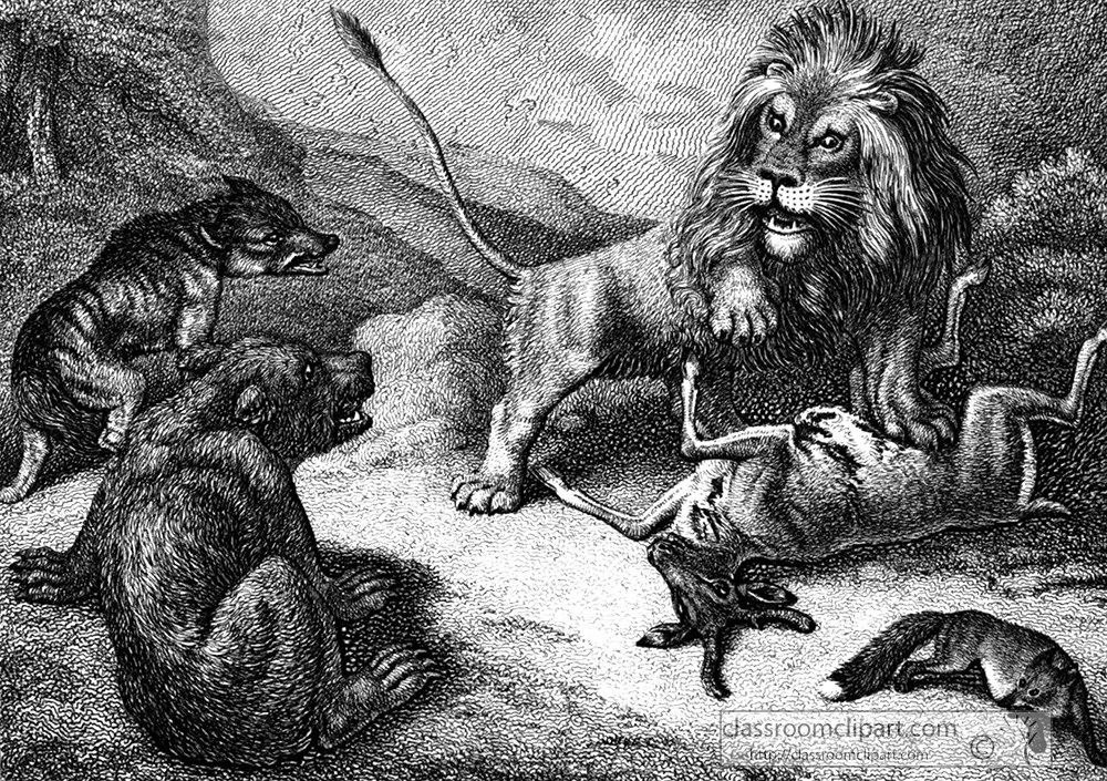 historical-engraving-lion-wolf-029.jpg