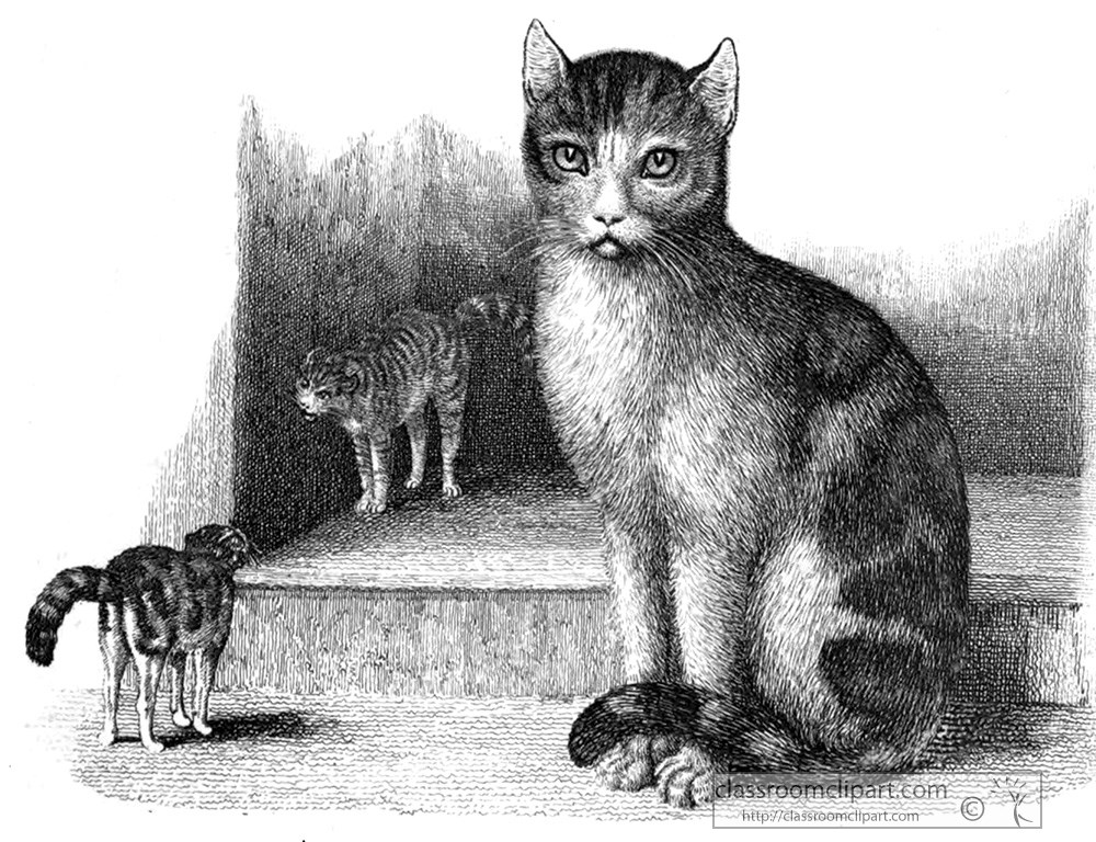 historical-engraving-sitting-cat-218a.jpg