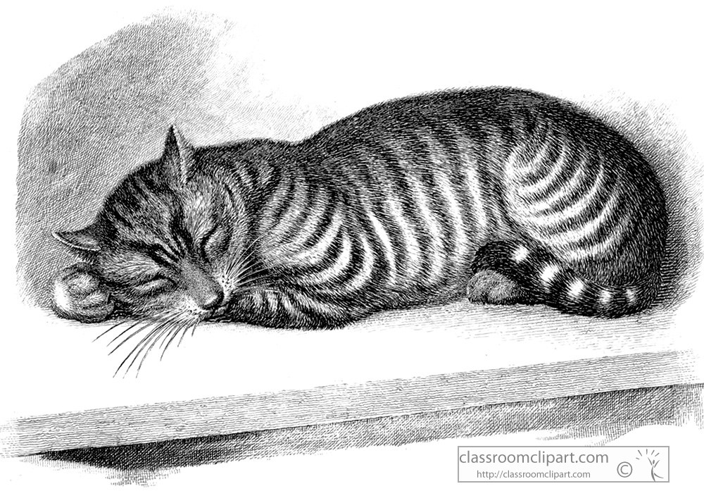 historical-engraving-sleeping-cat-216.jpg