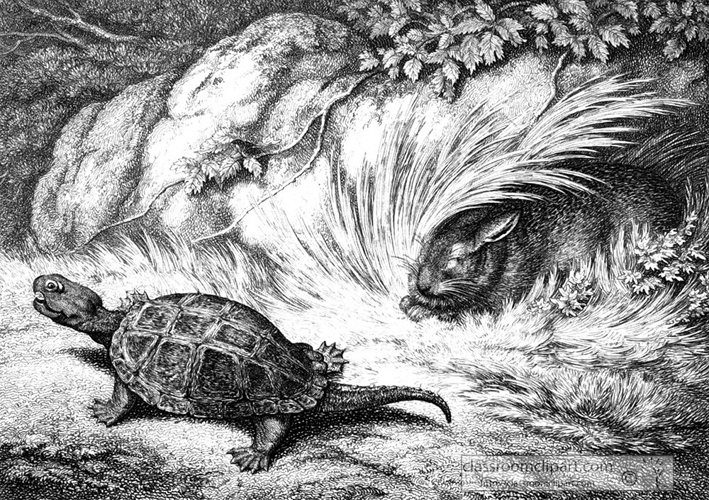 historical-engraving-turtle-rabbit-108.jpg