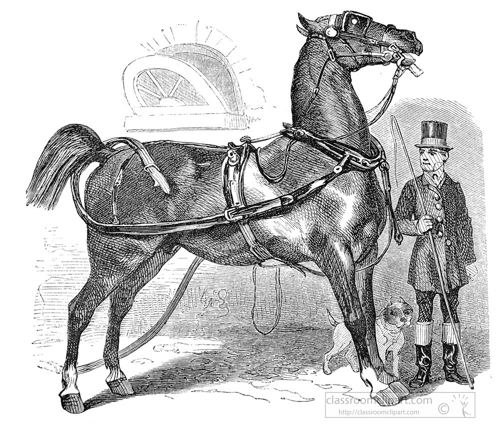horse-illustration-203bb.jpg