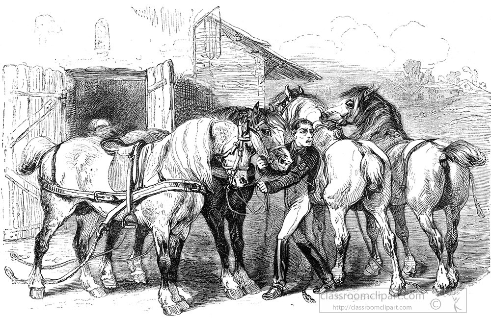 horse-illustration-210a.jpg