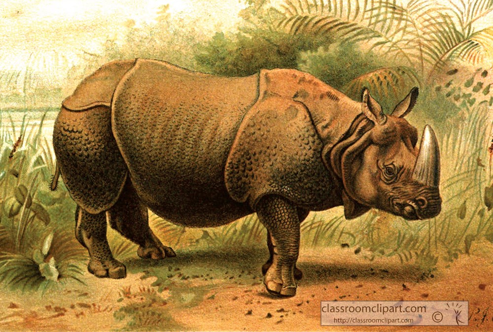indian-rhinoceros-animal-historical-illustration.jpg