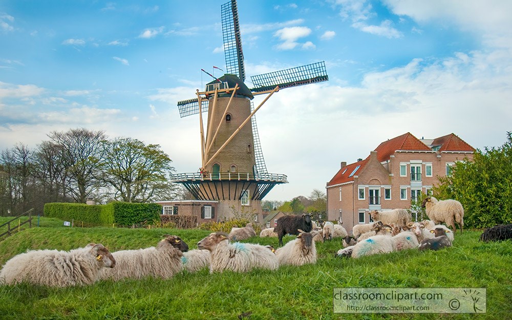 flock-of-sheep-resting-on-grassy-field-near-windmill.jpg