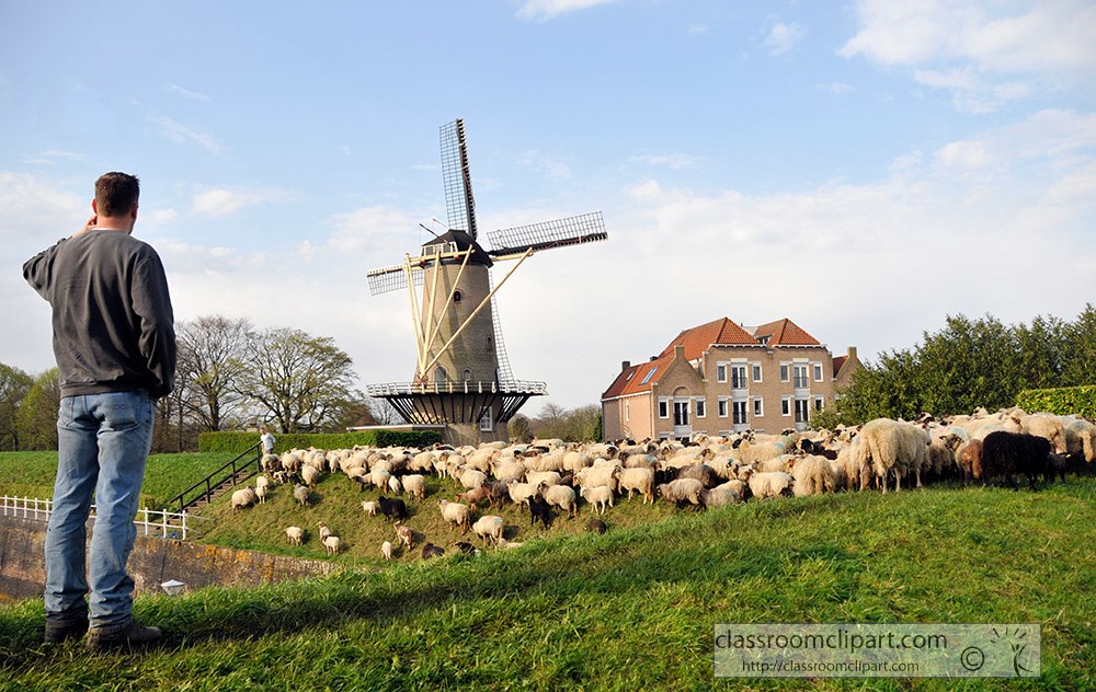 man-standing-over-a-flock-of-sheep-with-windmill-in-background.jpg
