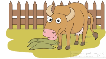 cow-eating-hay-farm-animated-gif.gif