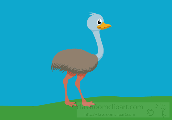 emu-animal-animated-clipart.gif