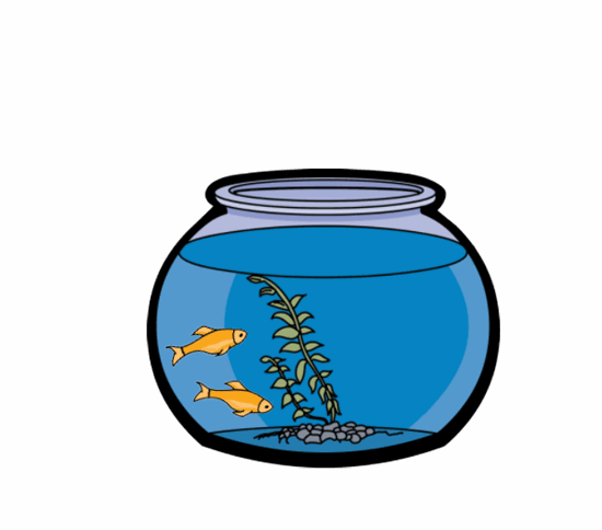 fish_bowl_animation_5C.gif