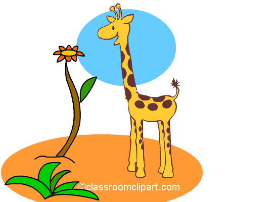 giraffe_812cc.gif