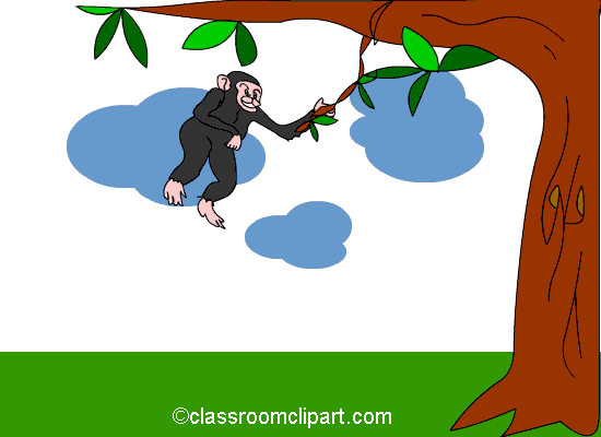 monkey_swinging_tree_cc.gif