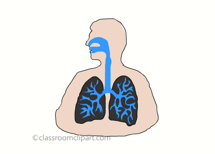 respiratory sys_cc.gif