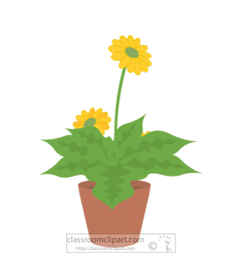 yellow-flowers-growing-from-planter.gif