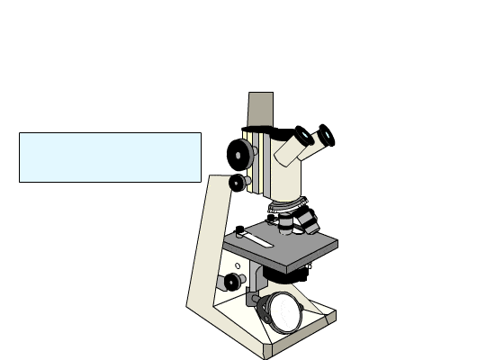 miscroscope_4_18.gif