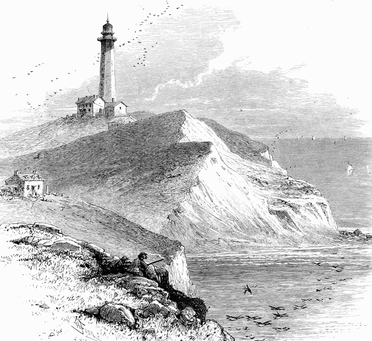 montauk-point-lighthouse-historical-illustration-261.jpg