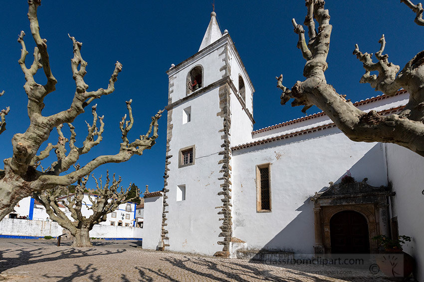 large-trees-in-front-of-chuch-obidos-portugal.jpg