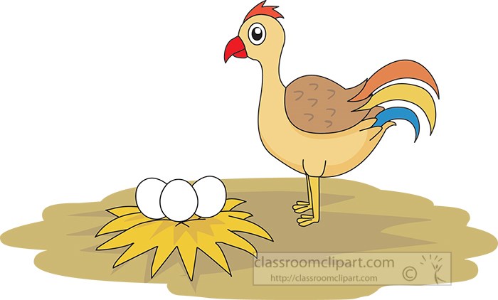 farm--animal-chicken-952.jpg