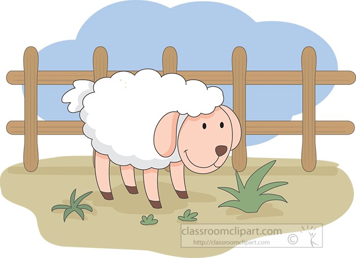 sheep-in-farm-near-fence.jpg