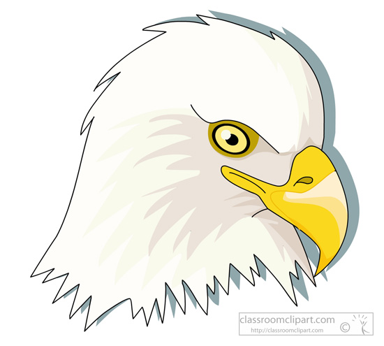 eagle-head-427.jpg