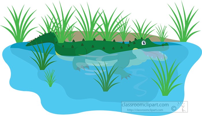 alligator-in-florida-swamp-clipart.jpg