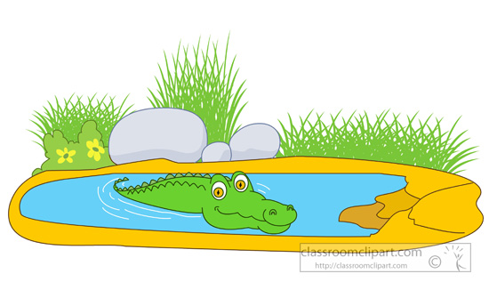 crocodile-swimming-in-a-pond.jpg