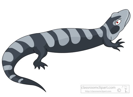 amphibian-striped-salamander-clipart-5726.jpg