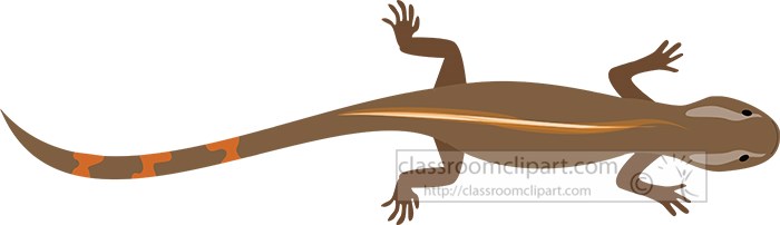 brown-color-salamander-clipart.jpg