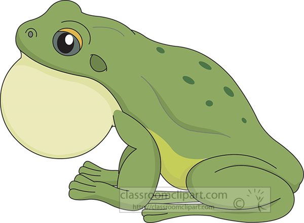 green-bull-frog-vector-clipart.jpg