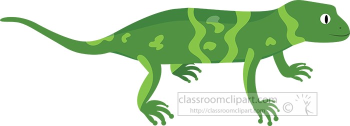 green-salamander-amphbian-vector-clipart.jpg