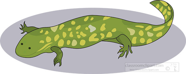 green-yellow-salamander-clipart.jpg