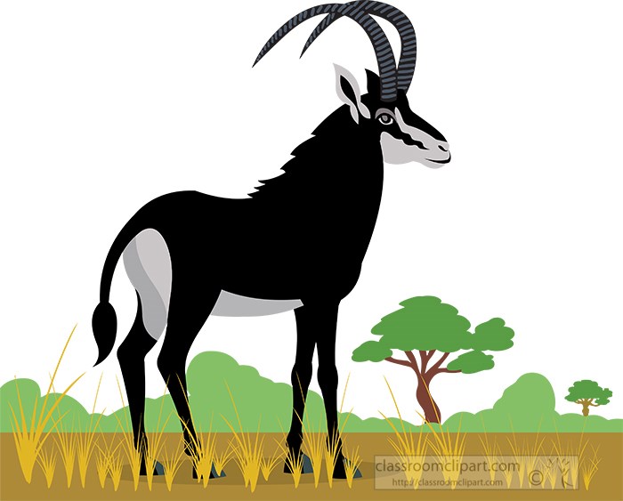 sable-antelope-animal-standing-in-grassland-in-africa-clipart.jpg