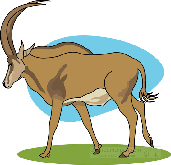 standing-large-sable-antelope-side-view-clipart.jpg