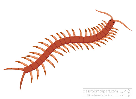 centipedes-clipart-530.jpg