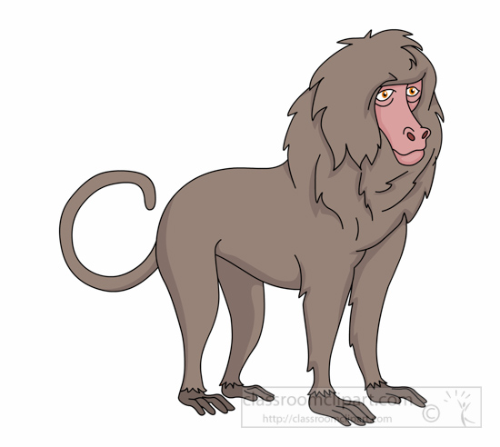 baboon-with-curly-tail-clipart-1161.jpg