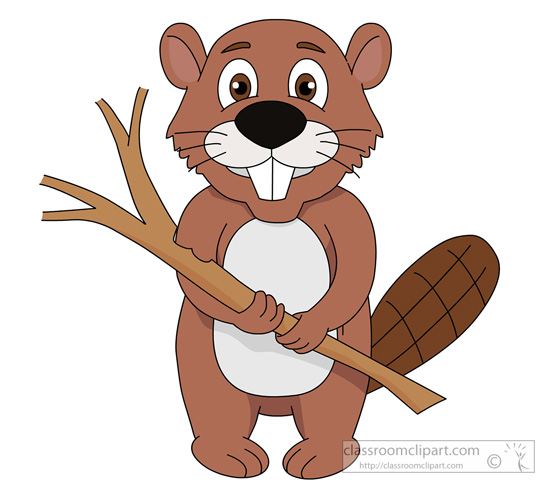 beaver-holding-twig-910.jpg