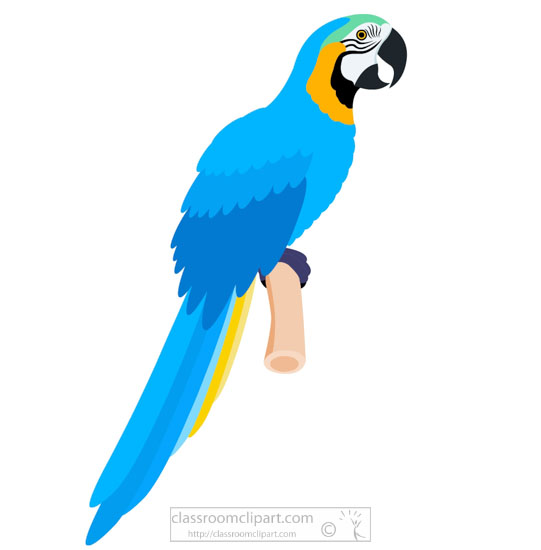 blue-macaw-parrot-clipart-518.jpg