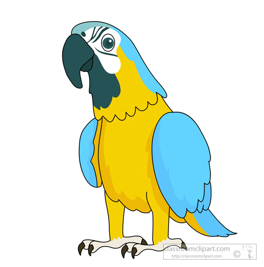 blue-yellow-macaw-parrot-427.jpg