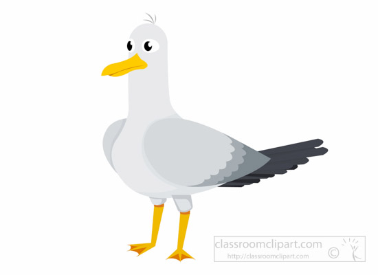 cape-gull-bird-clipart-1014.jpg