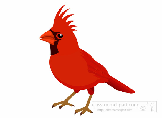 cardinal-bird-clipart-1014.jpg