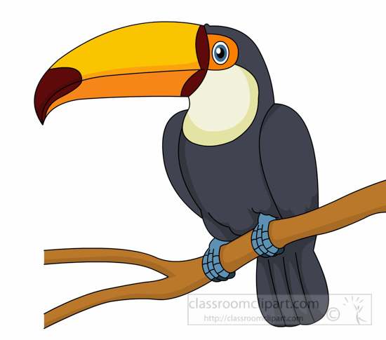 colorful-toucan-bird-sitting-on-tree-branch-clipart-6125.jpg