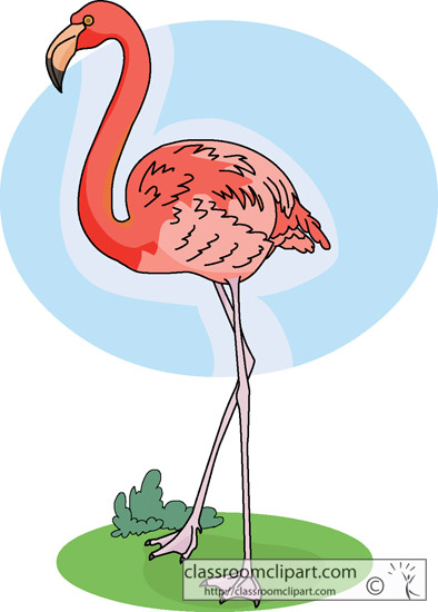 flamingos_on_grass_2012.jpg