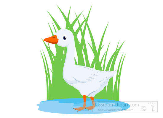 goose-bird-in-marsh-clipart-1014.jpg