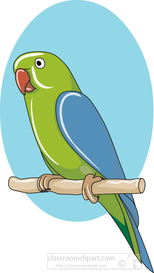 green_blue_parrot_2.jpg
