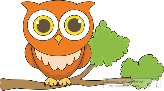 owl-sitting-on-tree-branch.jpg